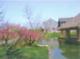 Plum Garden